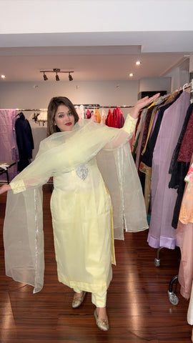 Long Shirt - Organza dupatta - embroidered fancy silver patches.