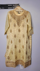 Fancy Wear! - 3 Piece Dress on Organza and Chiffon - Beige